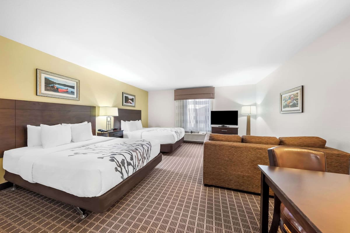 A hotel room with a large bed, a sofa, a TV, and a desk.