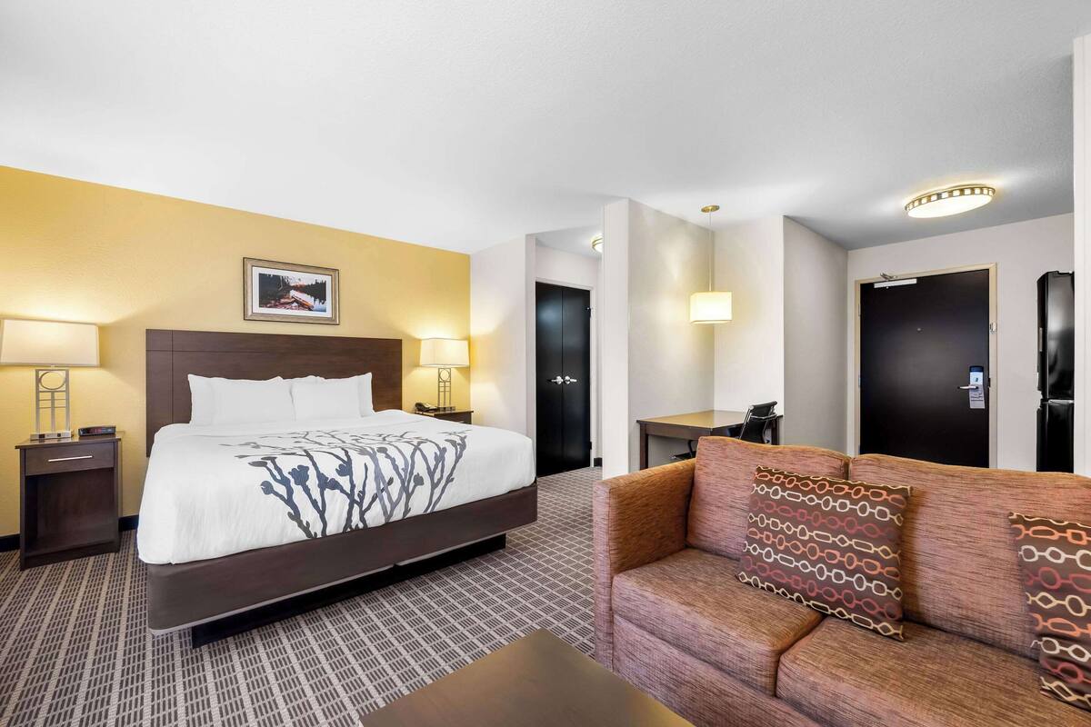 A hotel room with a large bed, a sofa, a desk, and a picture on the wall.