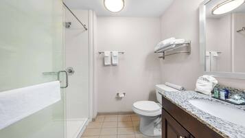 A bathroom with a glass shower enclosure, a toilet, a sink with a granite countertop, and a mirror above the sink.
