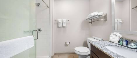 Un bagno con box doccia in vetro, un water, un lavabo con piano in granito e uno specchio sopra il lavabo.