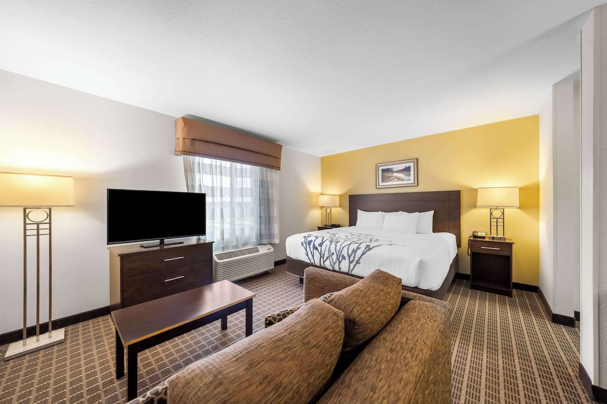 A hotel room with a bed, a TV, a desk, and a sofa.