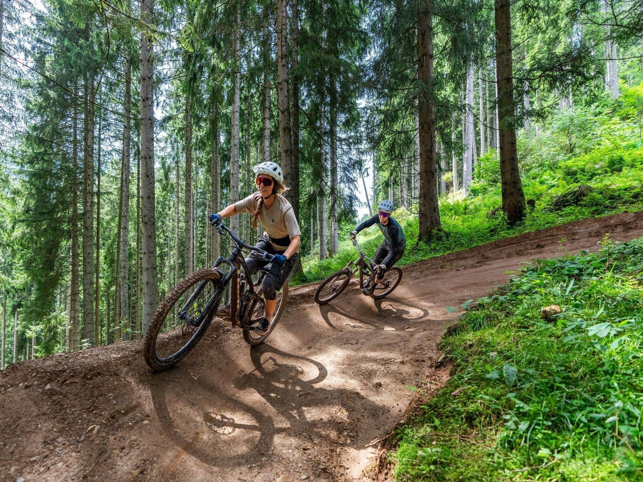 A forest trail with two mountain bikers.