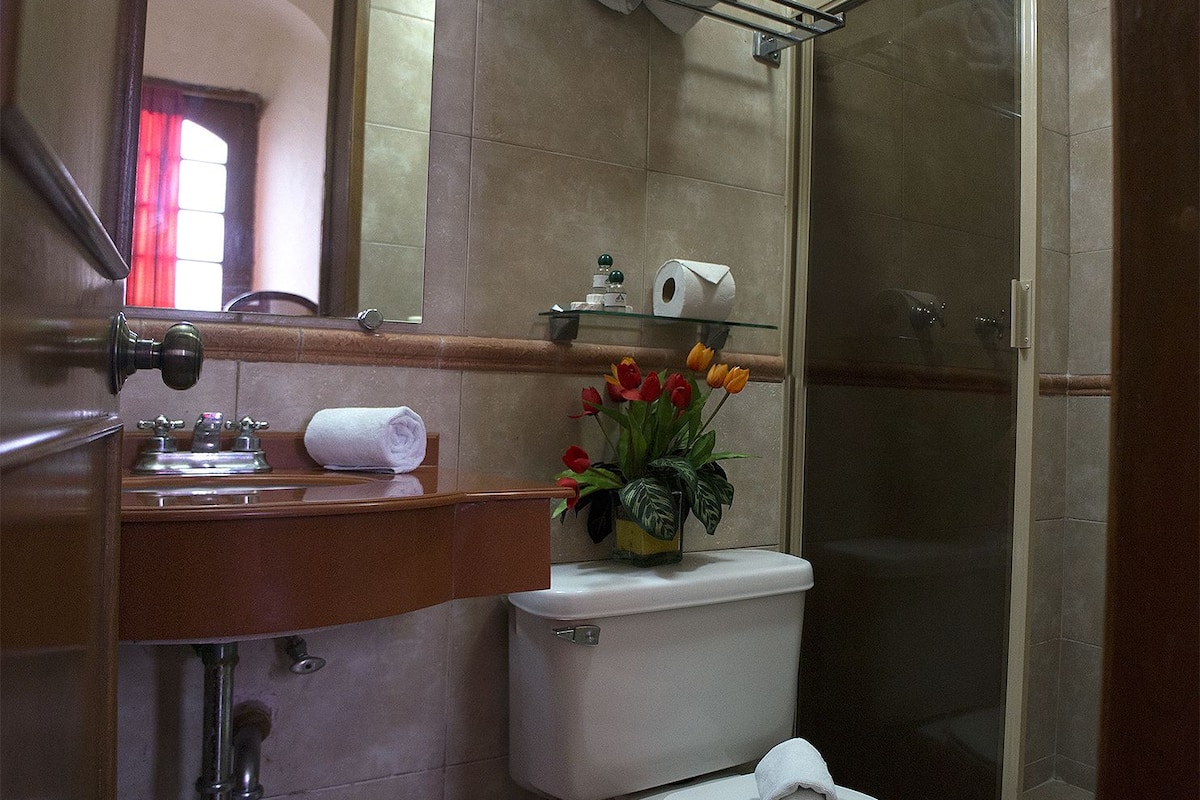 shower, free toiletries, hair dryer, towels