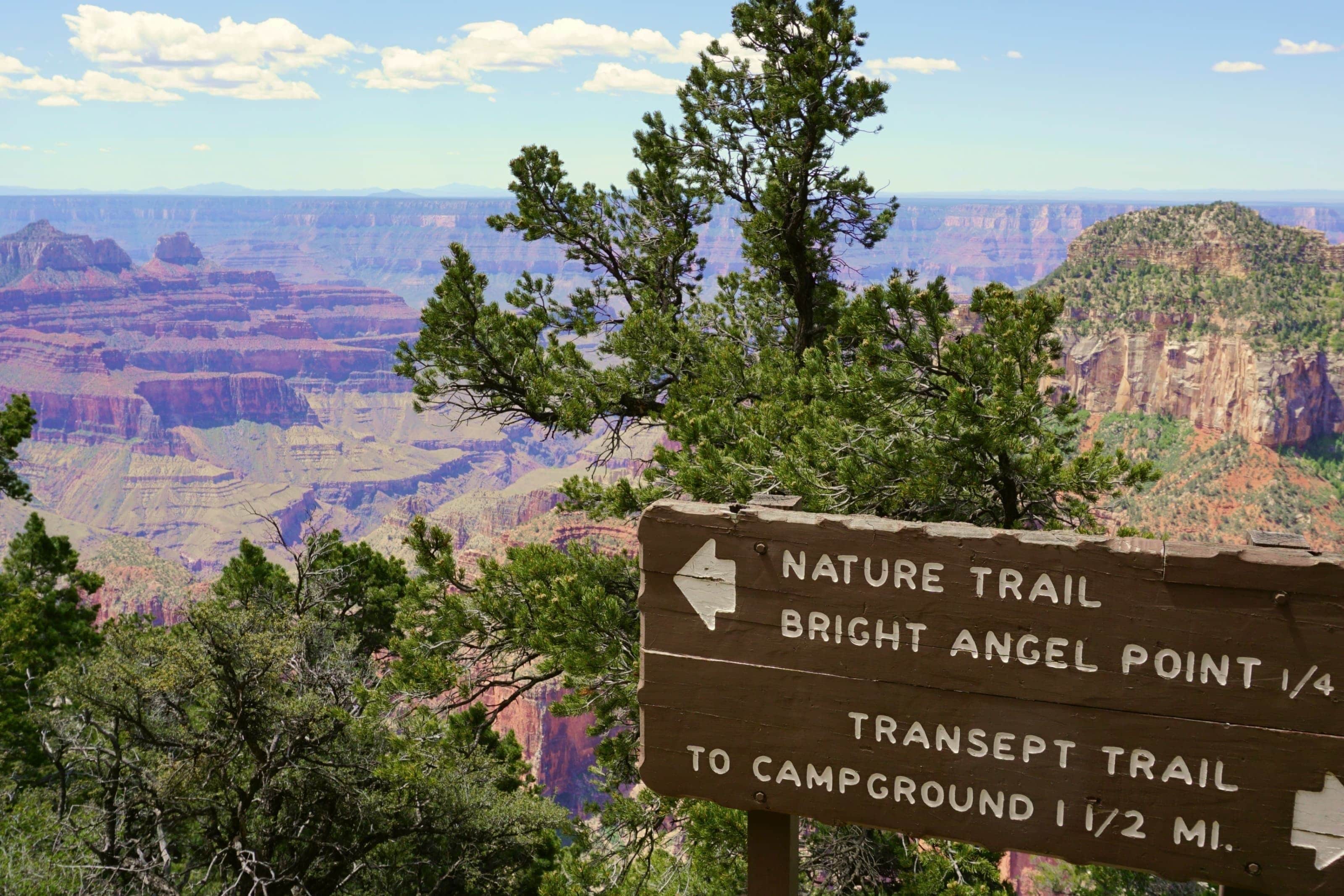 A wooden sign with directional arrows indicating trails to Bright Angel Point and Campground.
