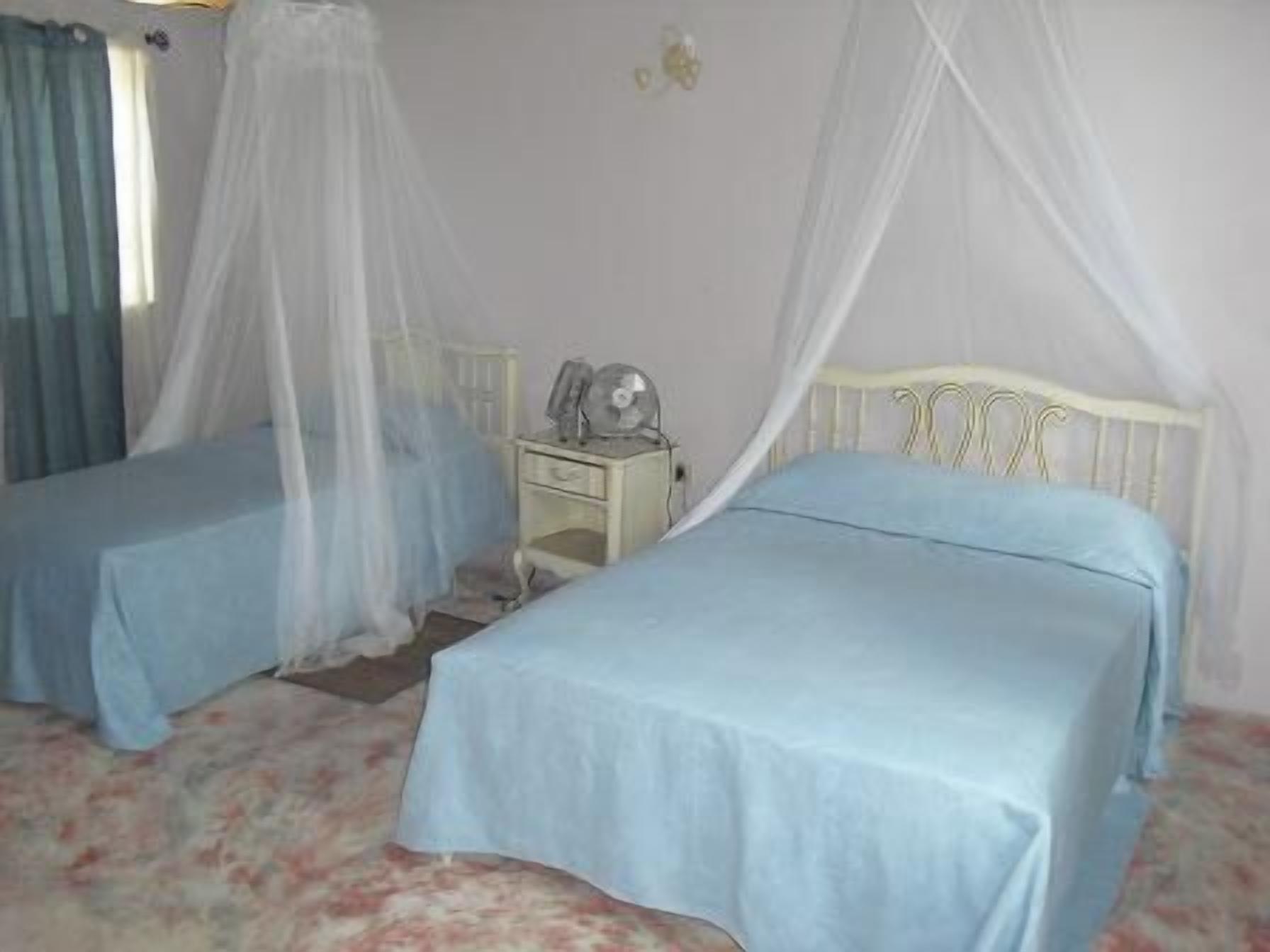 A bedroom with two single beds, each with a canopy, a bedside table with a lamp, and a floral-patterned carpet.