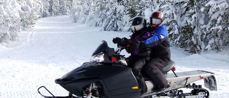 Een sneeuwscooter op een besneeuwd pad, omzoomd door bomen.