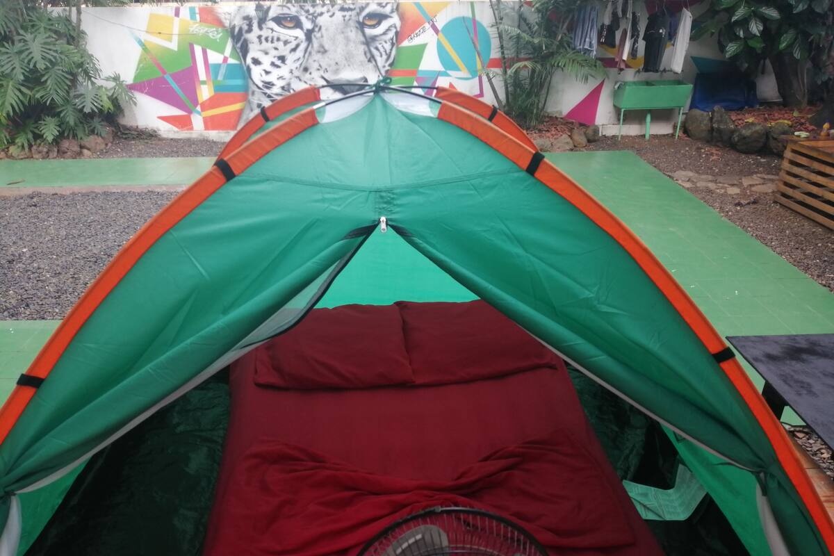 Basic Tent