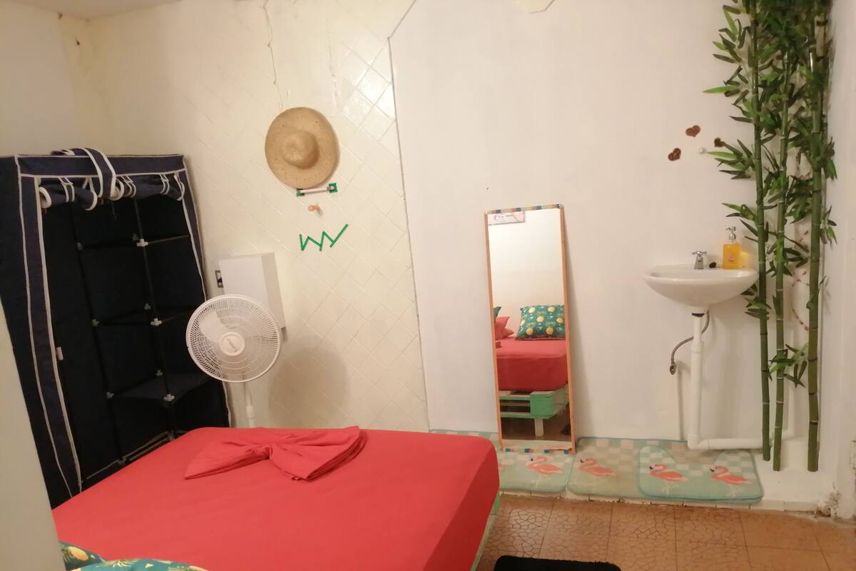 Basic Tek Büyük Yataklı Oda