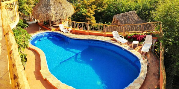 Outdoor pool, sun loungers