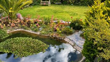 A garden with a pond, a wooden bench, and various plants.