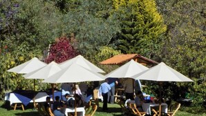An outdoor seating area with tables and chairs under umbrellas, surrounded by greenery. - Sol Natura Hotel (Ollantaytambo)