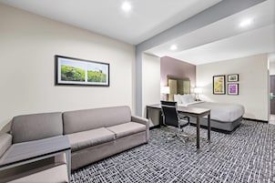 Habitación de hotel con sofá, escritorio, silla y cama.
