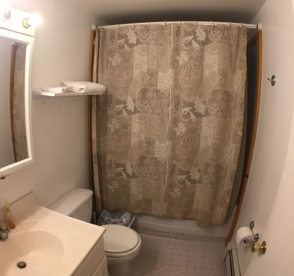 A bathroom with a toilet, sink, and shower curtain.