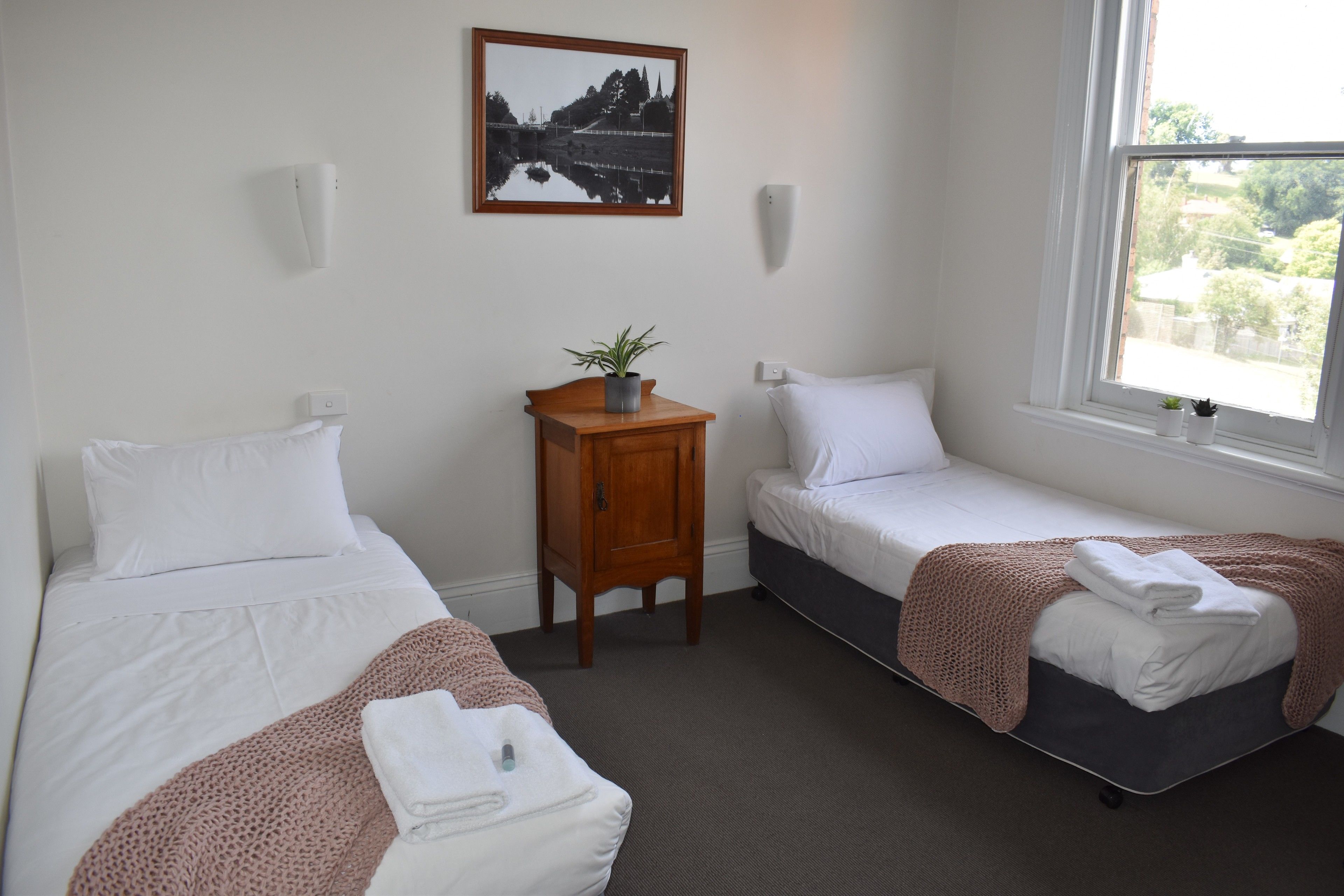 Habitación de hotel con dos camas individuales, una mesita de noche de madera con una planta, un cuadro en la pared y una ventana con vistas al verdor.