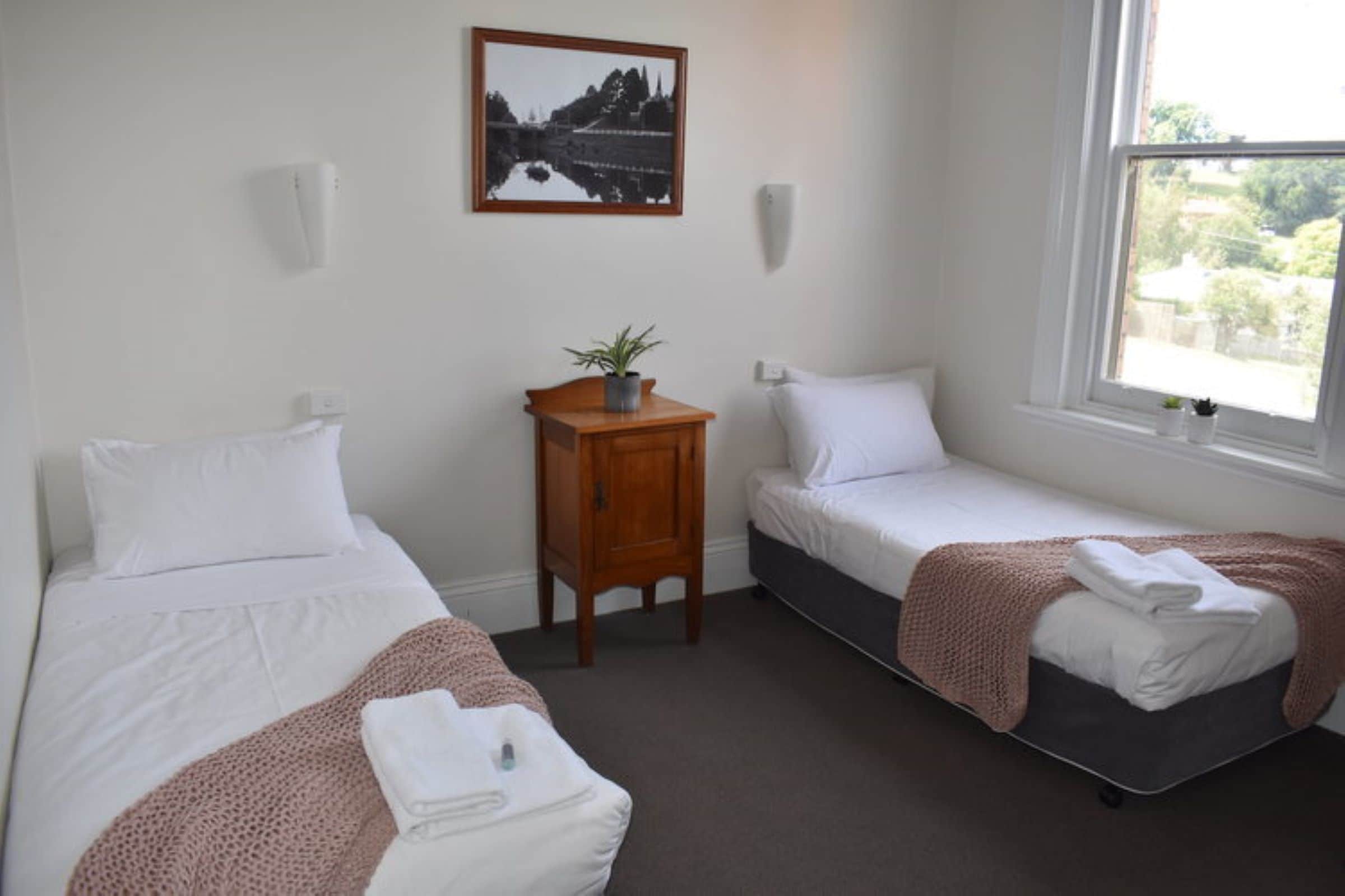 A room with two single beds, a small wooden nightstand with a plant, a framed picture on the wall, and a window with a view of greenery.