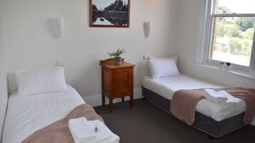 A room with two single beds, a small wooden nightstand with a plant, a framed picture on the wall, and a window with a view of greenery.