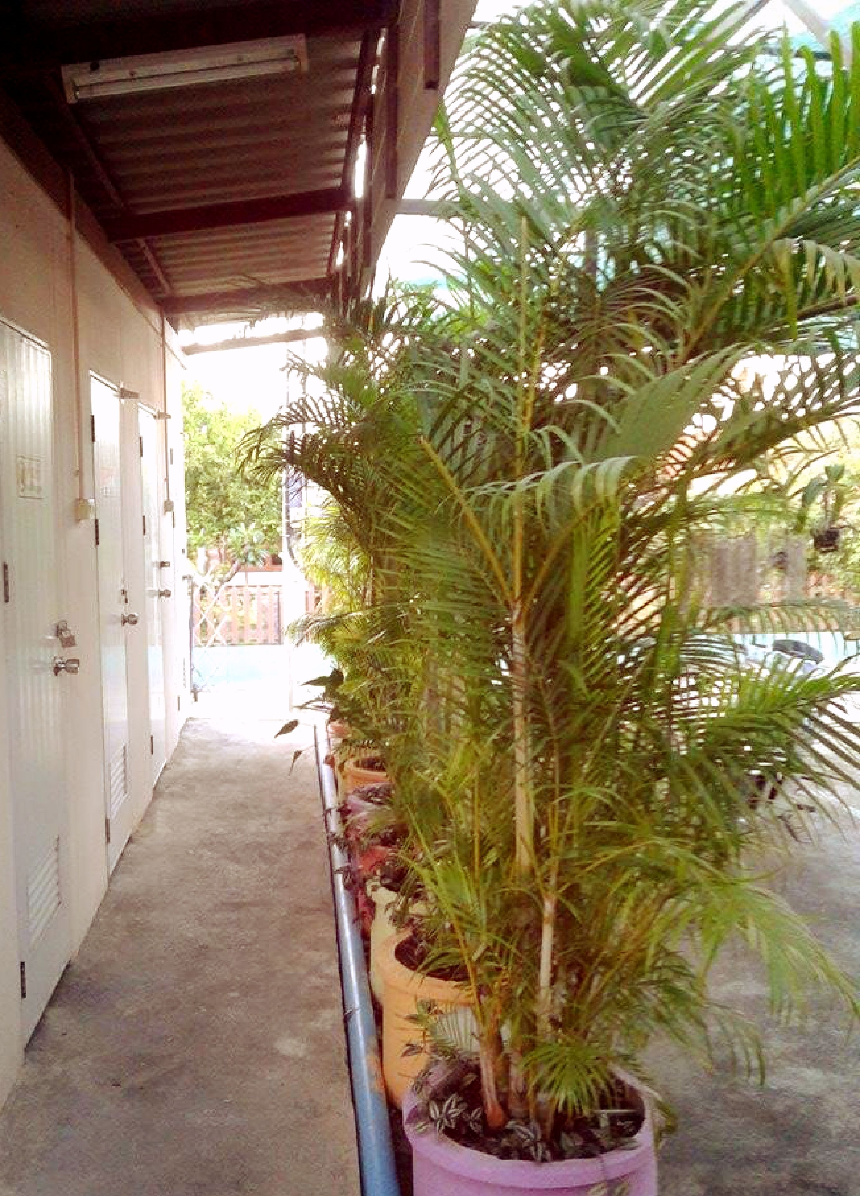 free toiletries, towels