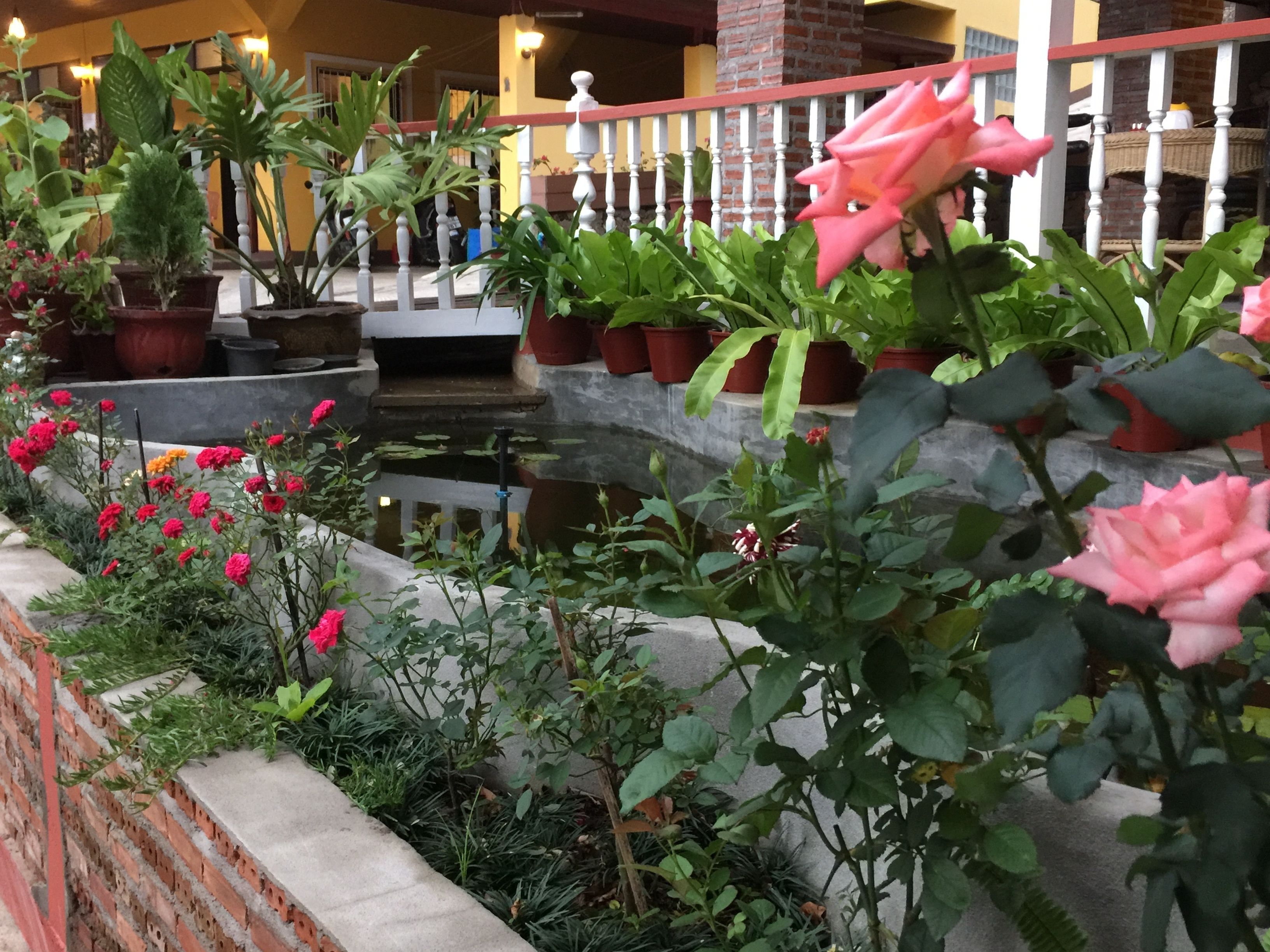 backpacker room with shared bathroom | rollaway beds, free wifi, bed sheets