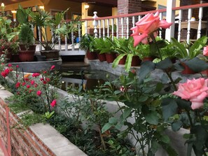 Backpacker Room with Shared Bathroom | Rollaway beds, free WiFi, bed sheets - Shin Sane Guesthouse (Mae Fa Luang)