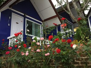 Bungalow | Garden - Shin Sane Guesthouse (Mae Fa Luang)