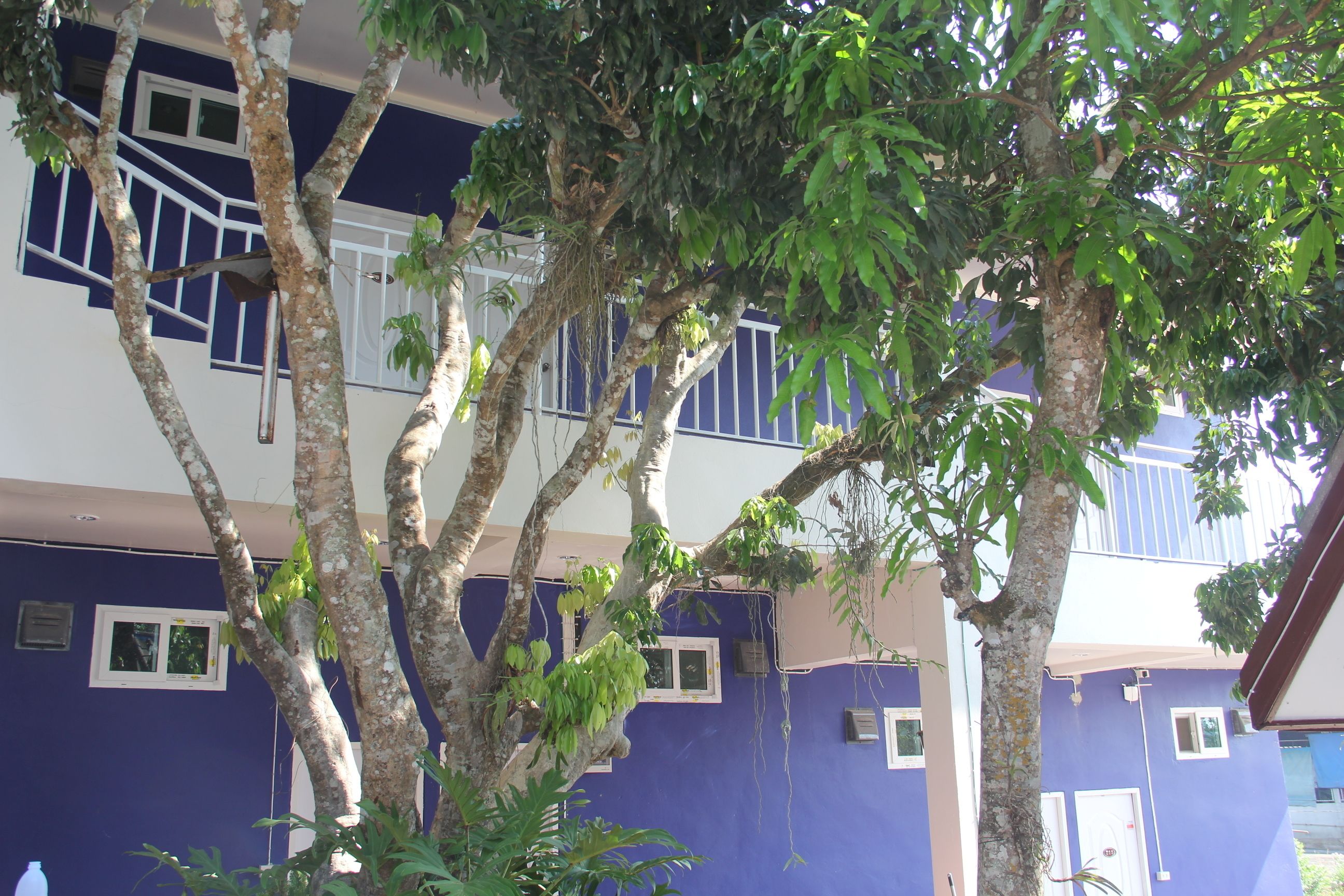 standard room (building) | rollaway beds, free wifi, bed sheets