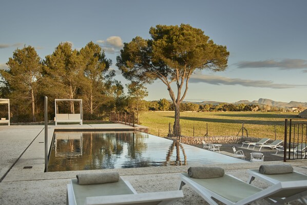 Outdoor pool, pool loungers