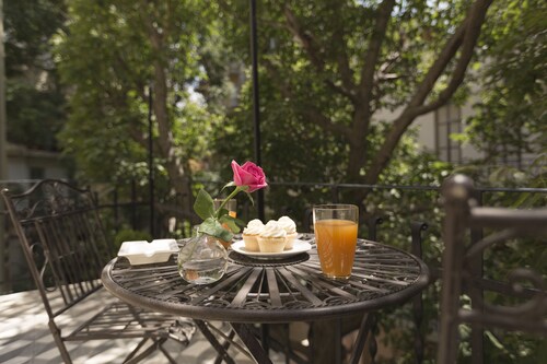 Gatto Perso Luxury Apartments