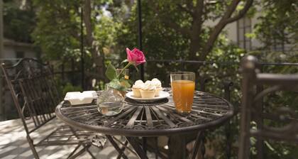 Gatto Perso Luxury Apartments