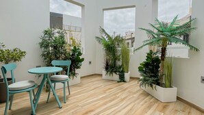 An open-plan living area with a wooden floor, white walls, and large windows. There are two turquoise chairs and a small table. Several potted plants are placed around the room. - Gran Marina Suites (Las Palmas de Gran Canaria)