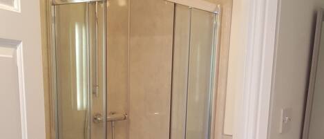 Un baño con ducha de vidrio, inodoro y puerta blanca.