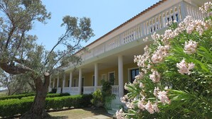 Vista al jardín