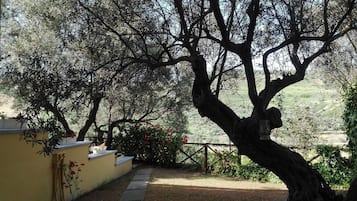 Deluxe Apartment, 2 Bedrooms (3 pax) | Garden view