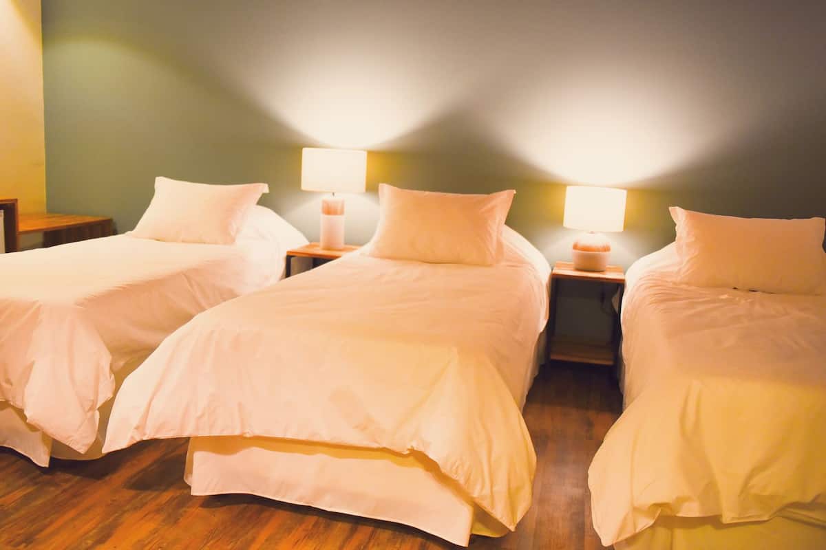 Deluxe trippelrum | 1 sovrum, värdeförvaringsskåp på rummet, gratis wi-fi och sängkläder