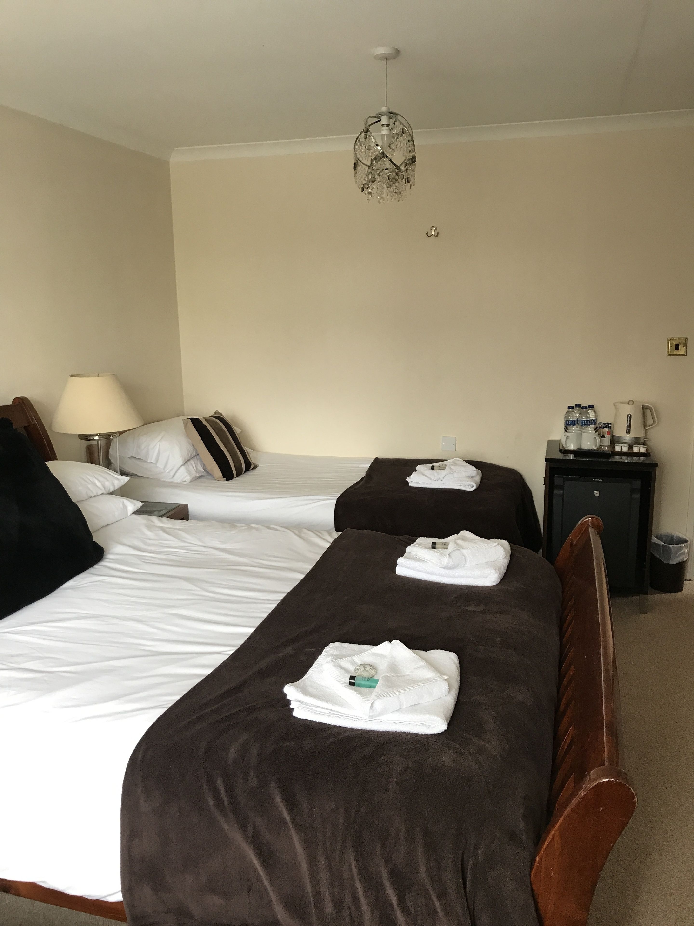 A hotel room with two beds, a bedside table with a lamp, a minibar, and a ceiling light fixture.