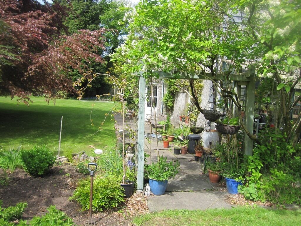 Um jardim com pergolado de madeira, vasos de plantas e um caminho que leva a uma casa.