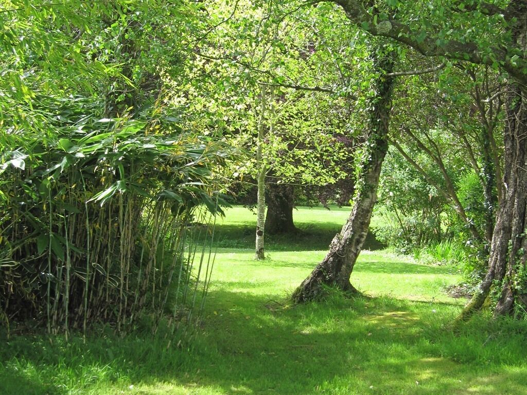 Un parque verde exuberante con árboles y césped.