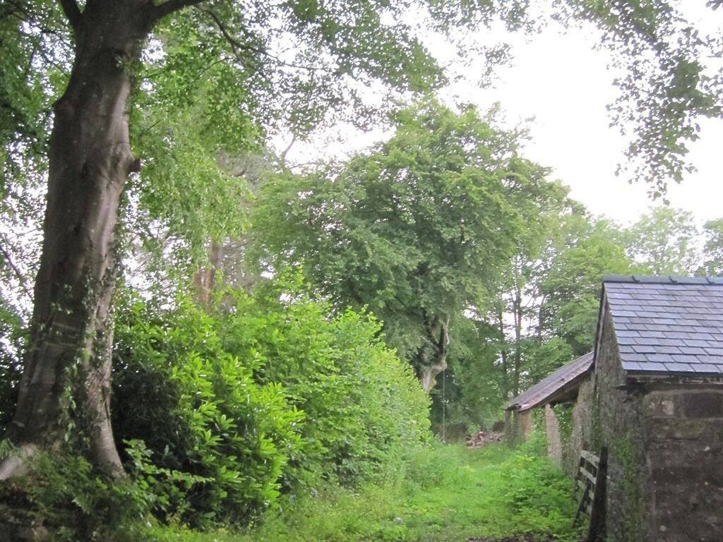 A rustic building with a stone exterior and a sloped roof, surrounded by dense greenery and trees.
