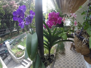 Vista da propriedade