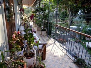 View from property - Pousada Ace Palace (Petrópolis)
