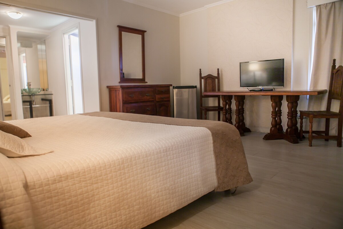 Suite Deluxe (Upper Class) | Ropa de cama hipoalergénica, caja fuerte, decoración individual