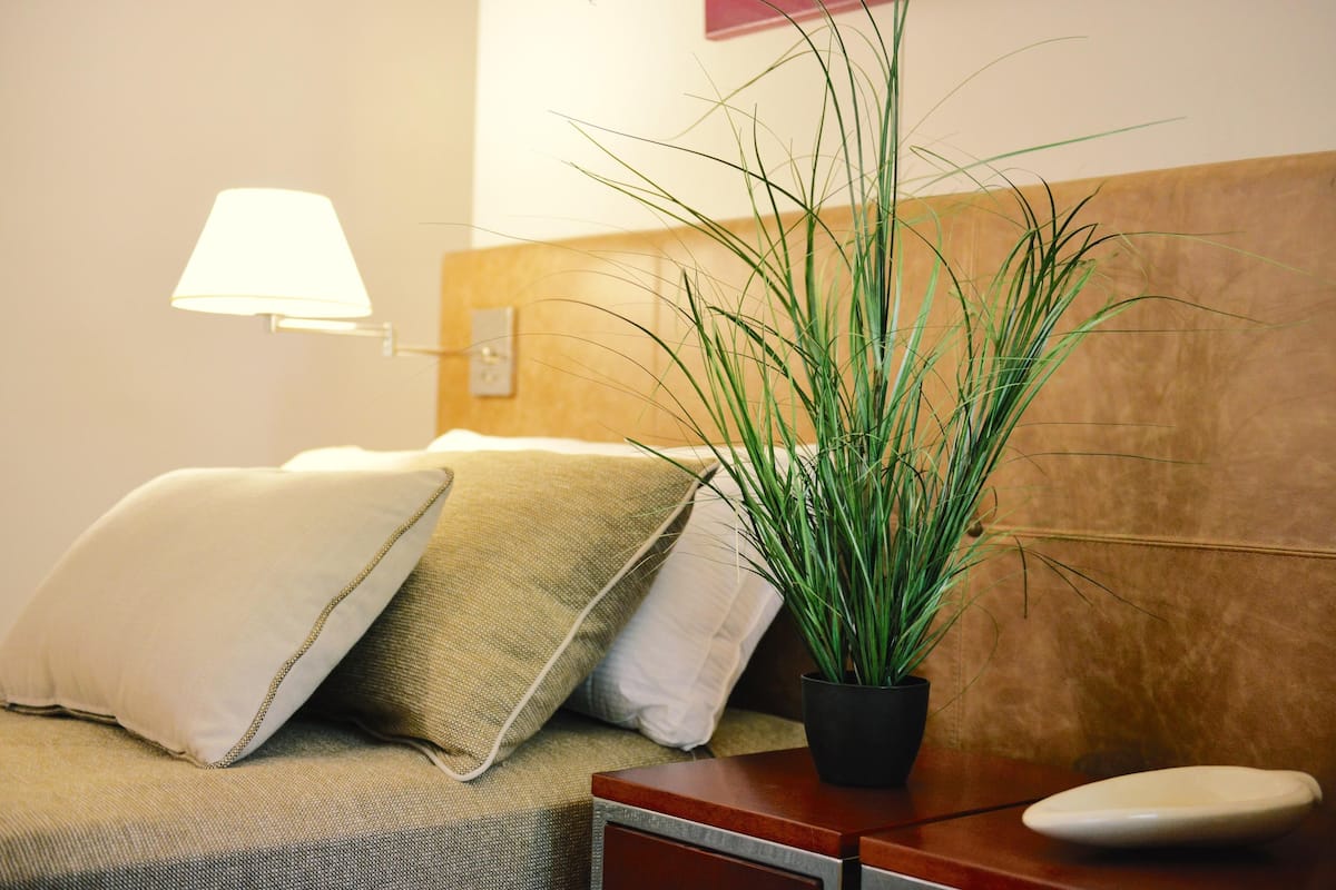 Colchones con pillow-top, minibar y caja de seguridad en la habitación
