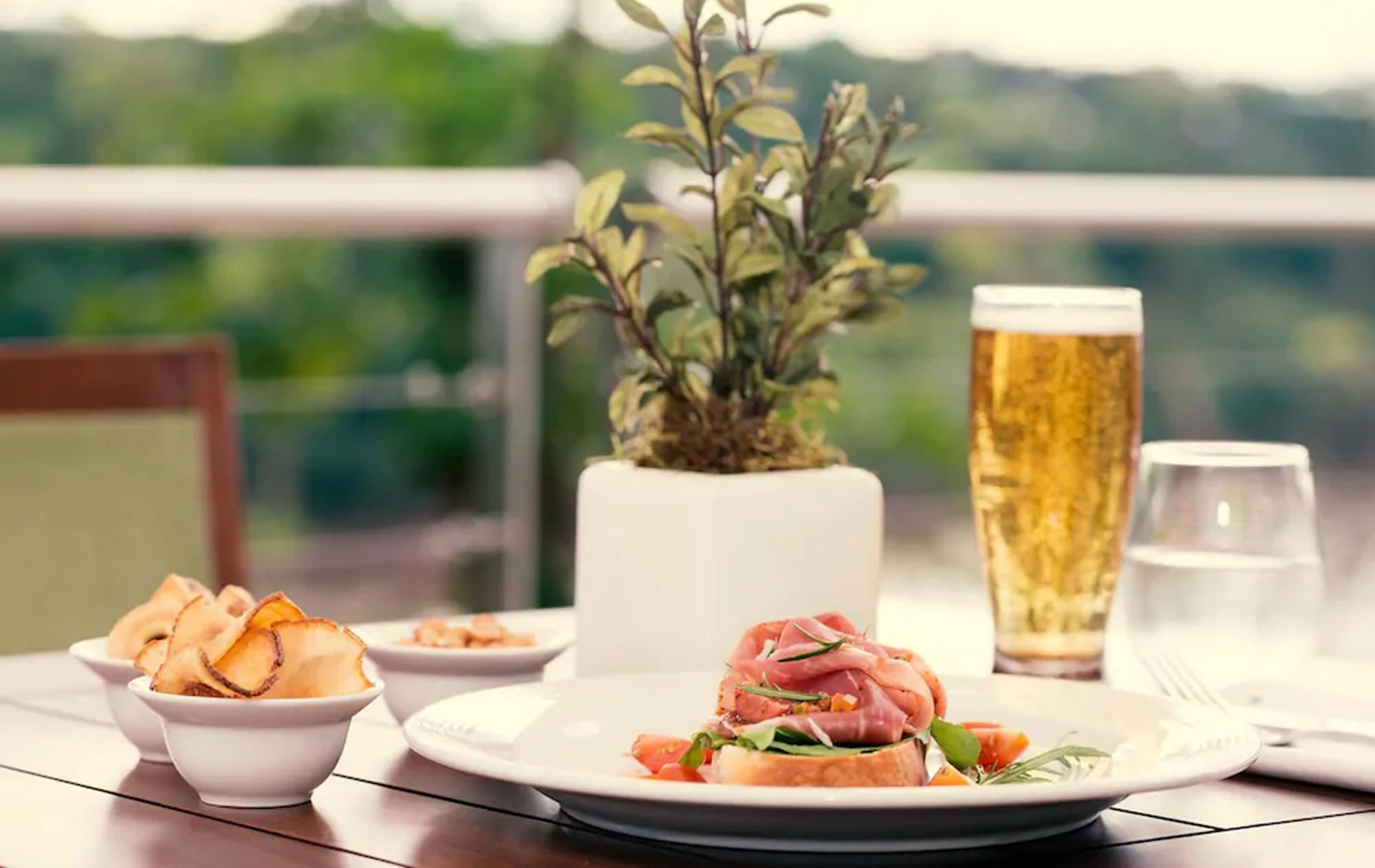 A table with a plate of food, a glass of beer, and a potted plant.