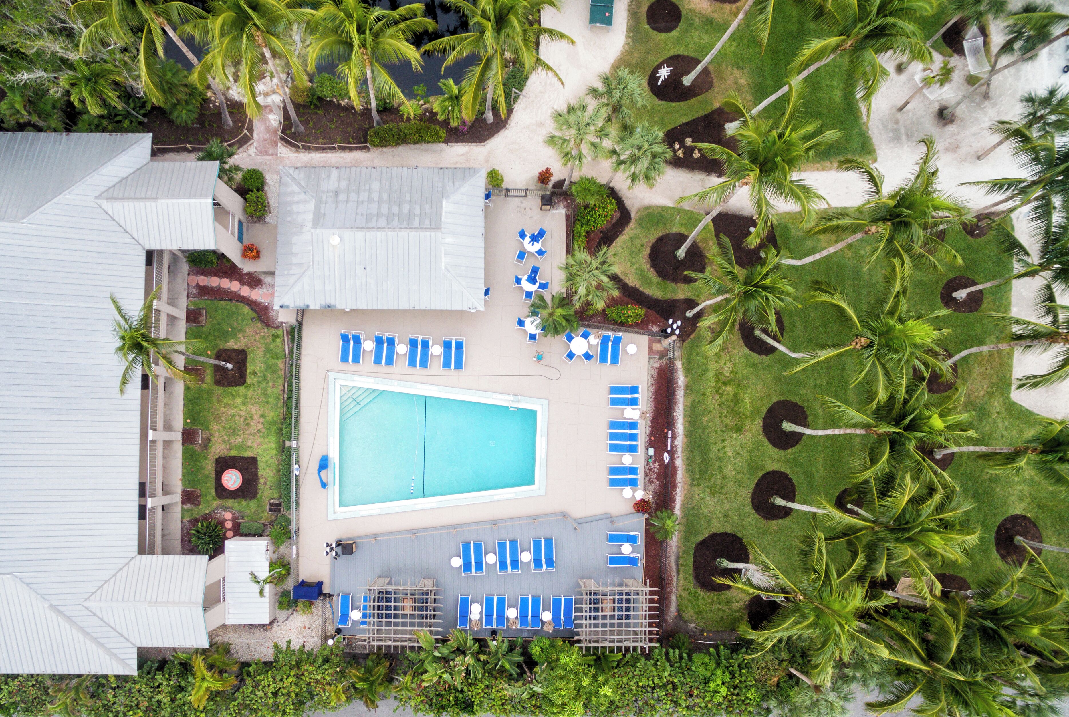 Vista aérea de un hotel con piscina rodeada de sillas de descanso y palmeras.