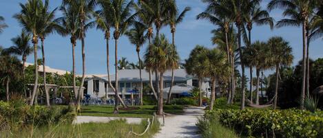 A pathway leading to a building with a white facade, surrounded by palm trees and greenery.