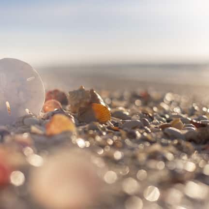 On the beach, sun loungers, beach towels