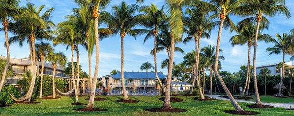 Un resort con edificios de varias plantas, palmeras y un césped bien cuidado.