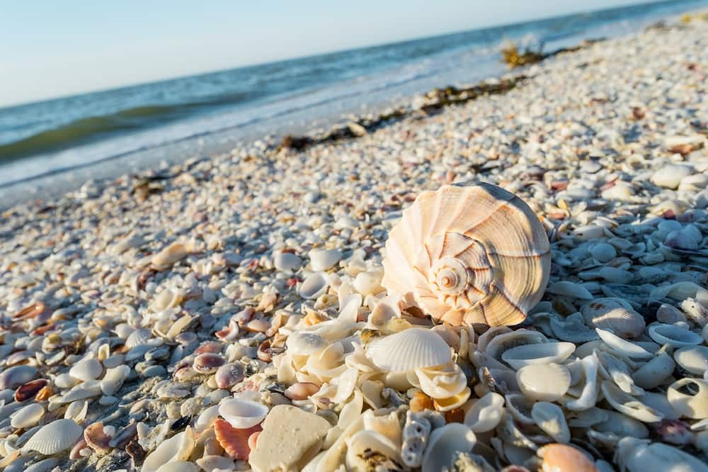 Sanibel Island Beach Resort