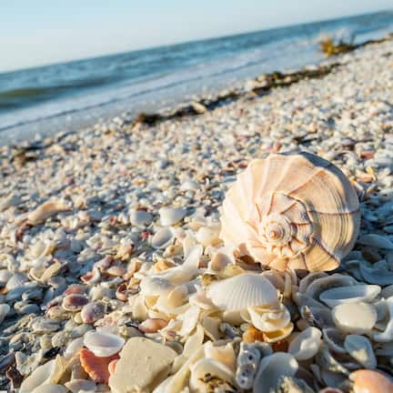 On the beach, sun loungers, beach towels