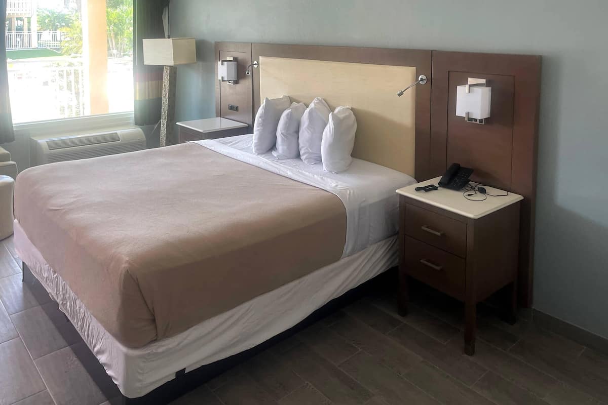 Room, 1 King Bed, Accessible, Non Smoking | Iron/ironing board, free WiFi, bed sheets