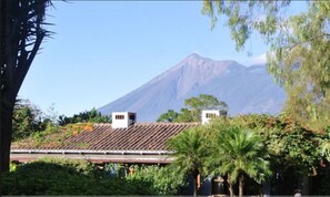 Vista da propriedade